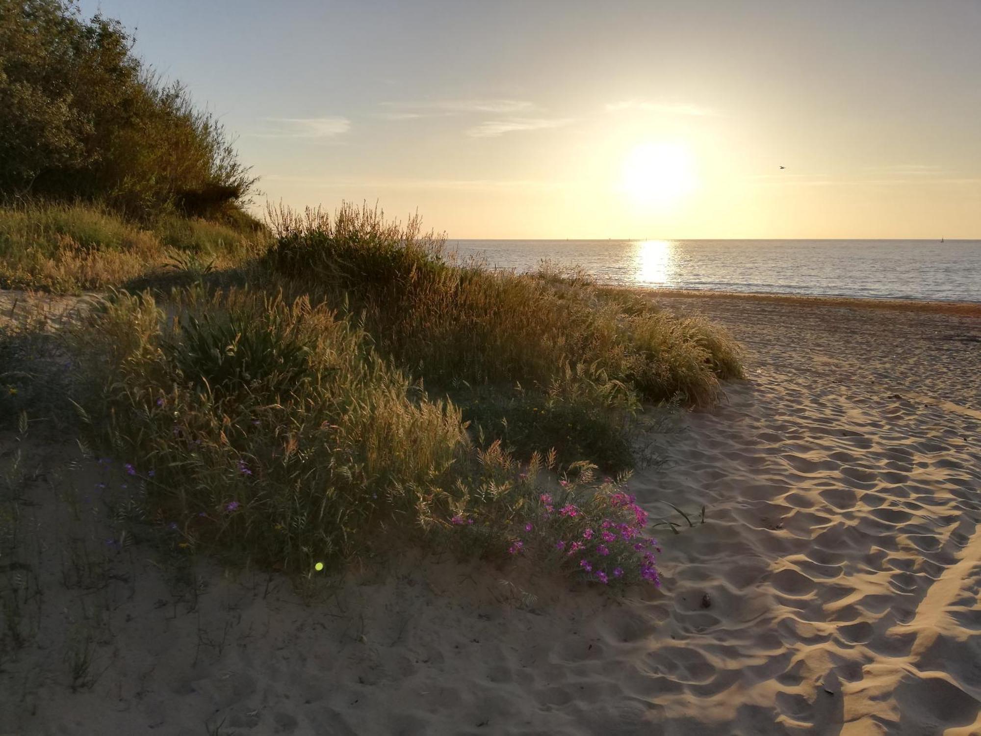 Moderno Apartamento Junto A La Playa Sanlúcar de Barrameda Exteriör bild